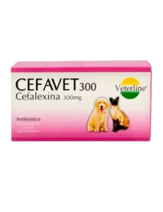 Cefavet 600