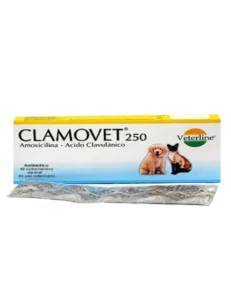 Clamovet 250