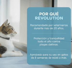 Revolution 6% Azul (2.5-7.5 kg) - Hover