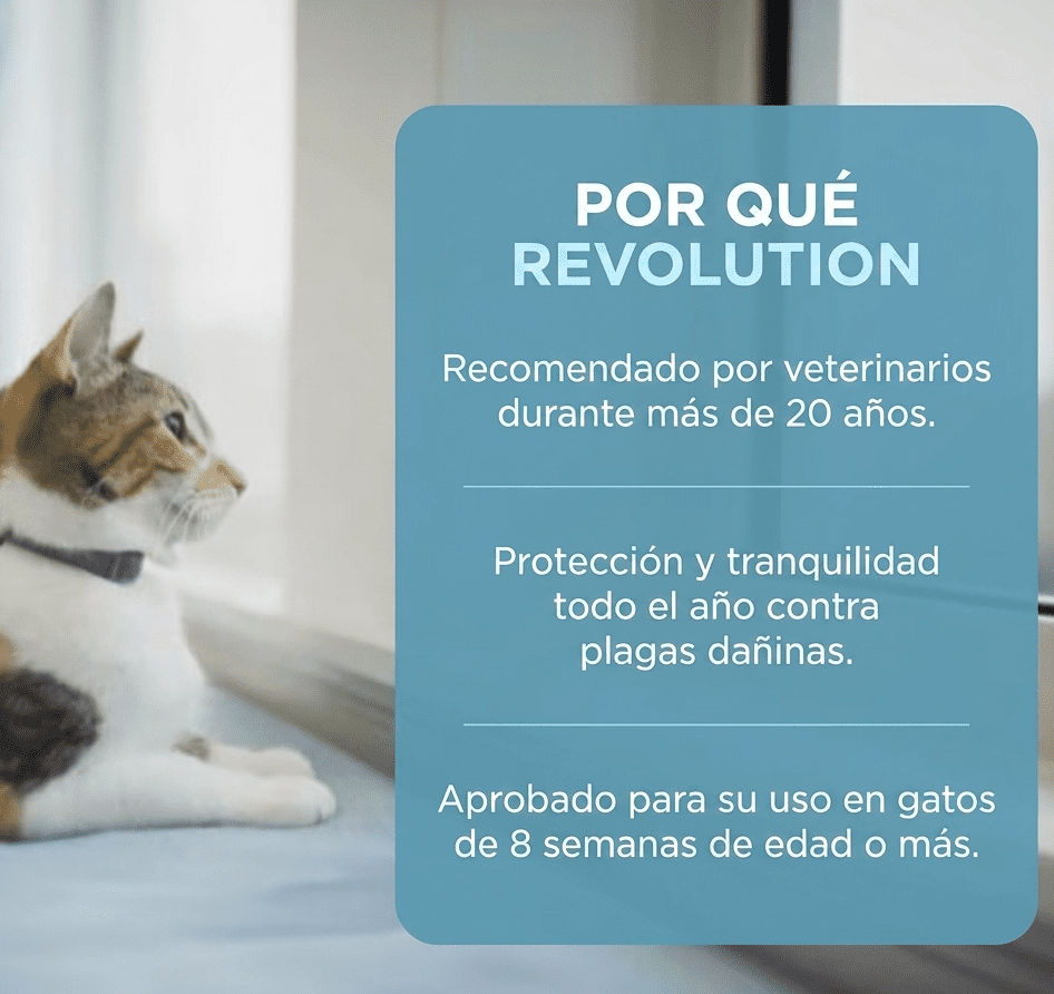 Revolution 6% Azul (2.5-7.5 kg) - Hover