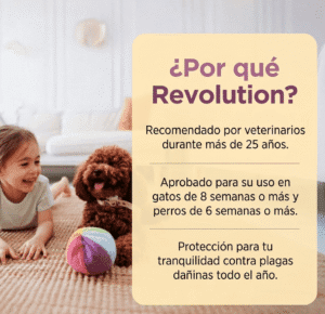 Revolution 6% Rosado (0-2.5 kg) - Hover