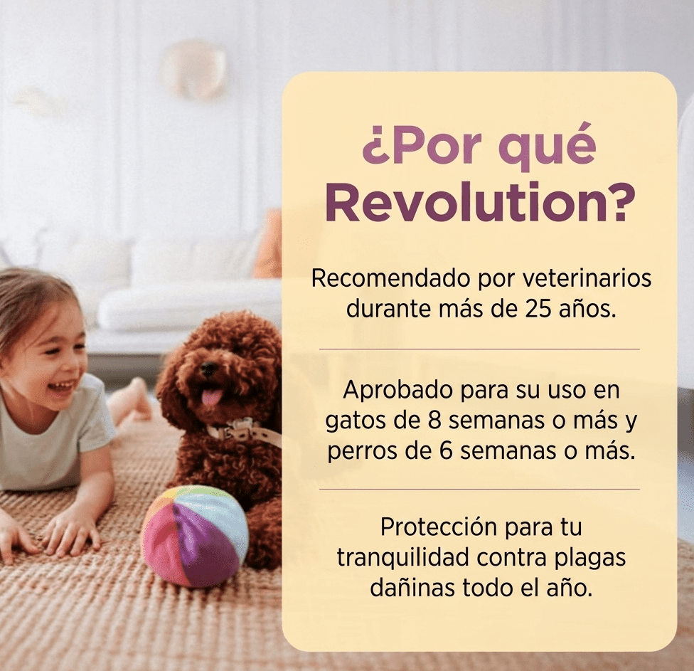 Revolution 6% Rosado (0-2.5 kg) - Hover
