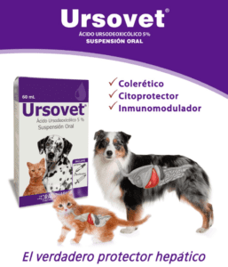 Ursovet - Hover