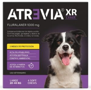 Atrevia XR Large