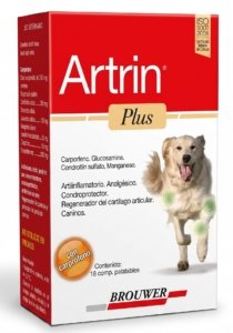 Artrin Plus
