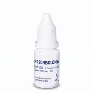 Prednisolona Plus Love - Hover